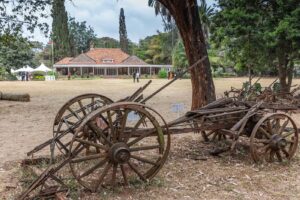 Day tour to Giraffe Center and Karen Blixen Museum