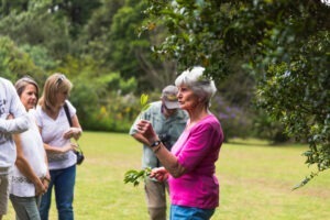 Kiambethu Tea Farm Tour